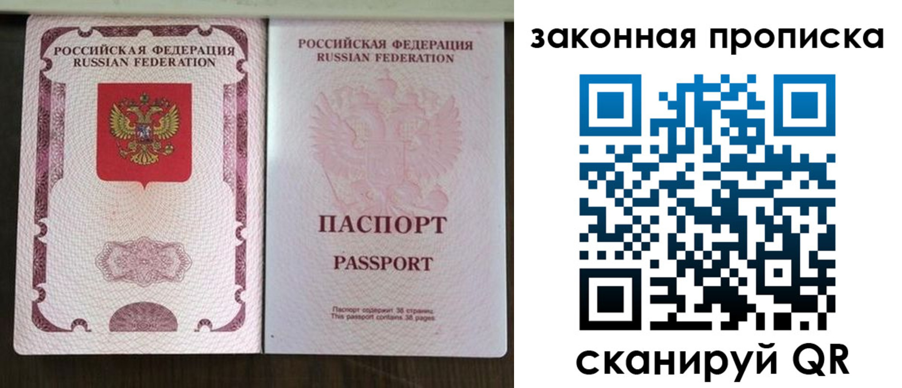 временная регистрация для всех в Димитровграде
